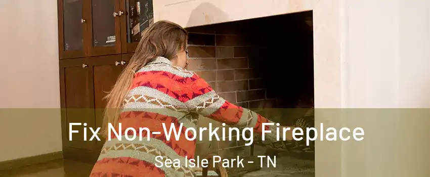 Fix Non-Working Fireplace Sea Isle Park - TN