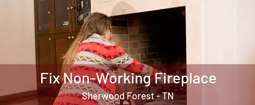 Fix Non-Working Fireplace Sherwood Forest - TN