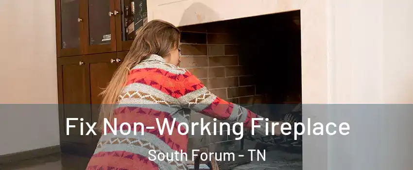 Fix Non-Working Fireplace South Forum - TN