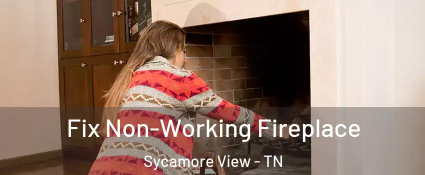 Fix Non-Working Fireplace Sycamore View - TN