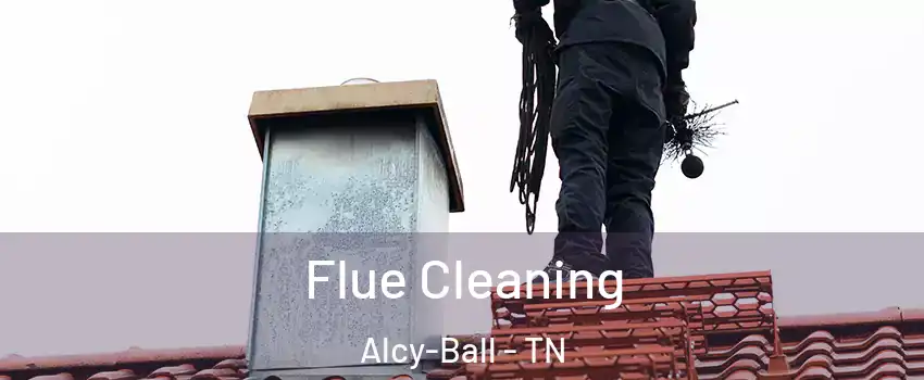 Flue Cleaning Alcy-Ball - TN