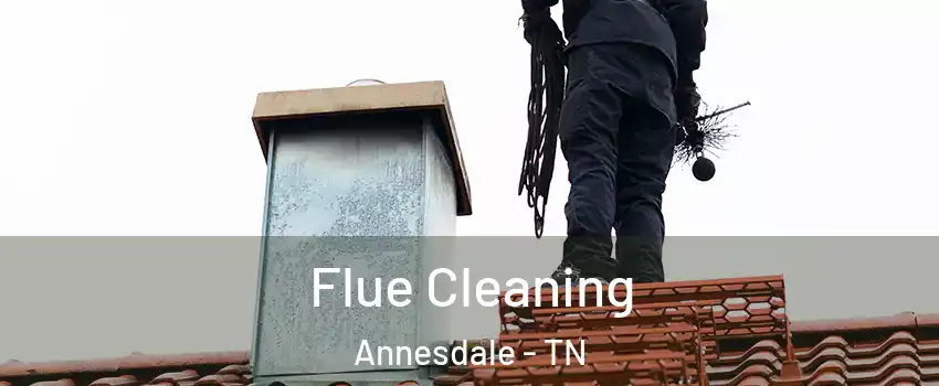 Flue Cleaning Annesdale - TN