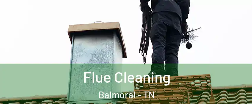 Flue Cleaning Balmoral - TN