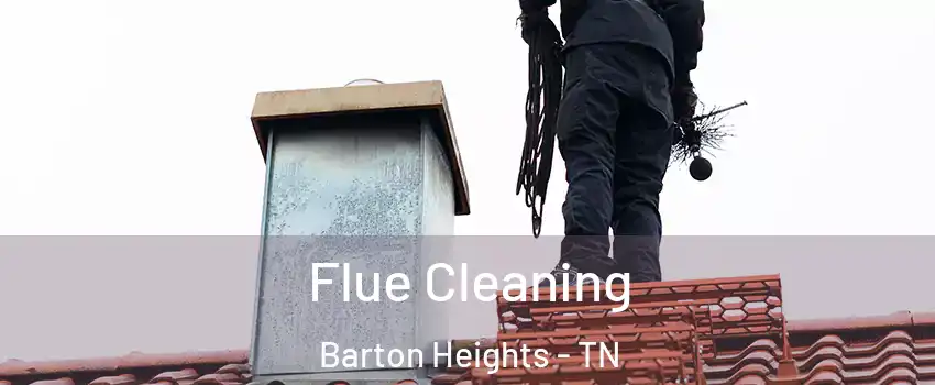 Flue Cleaning Barton Heights - TN