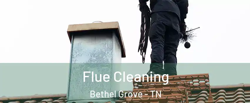 Flue Cleaning Bethel Grove - TN