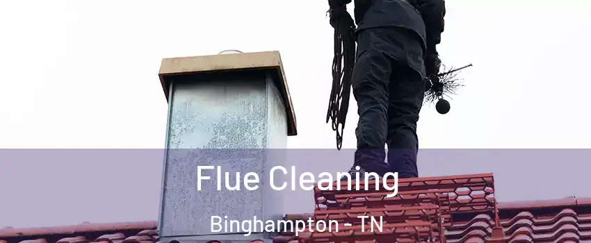 Flue Cleaning Binghampton - TN