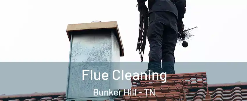 Flue Cleaning Bunker Hill - TN