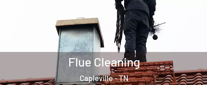 Flue Cleaning Capleville - TN