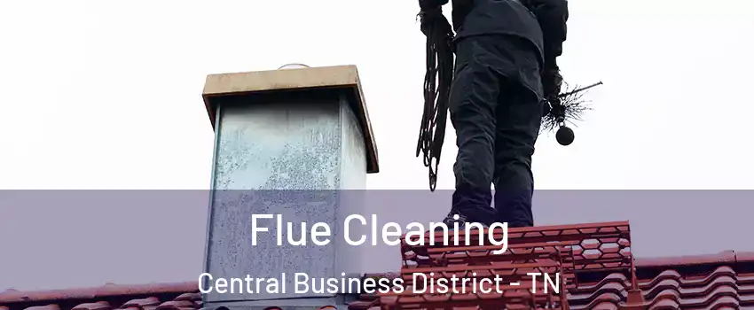 Flue Cleaning Central Business District - TN