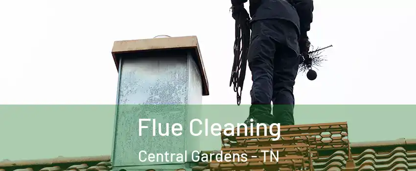 Flue Cleaning Central Gardens - TN