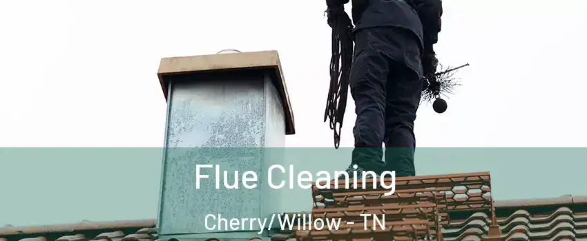 Flue Cleaning Cherry/Willow - TN