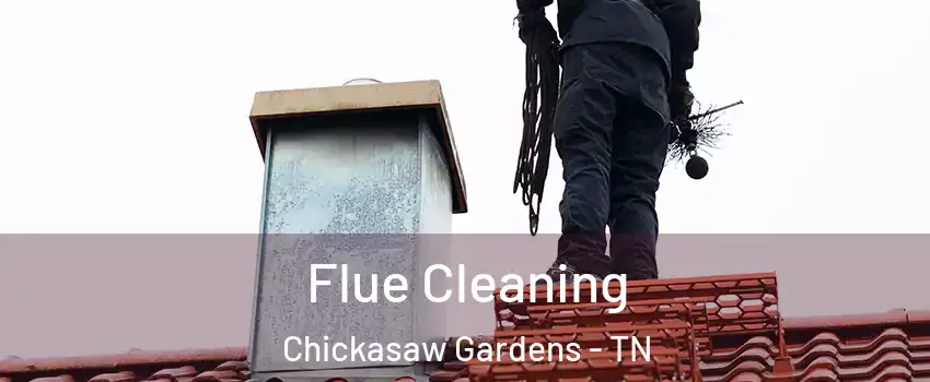 Flue Cleaning Chickasaw Gardens - TN