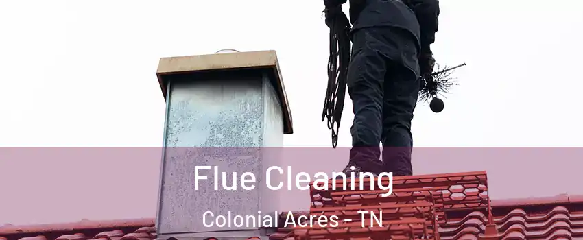 Flue Cleaning Colonial Acres - TN