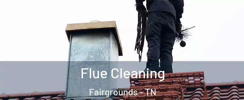 Flue Cleaning Fairgrounds - TN