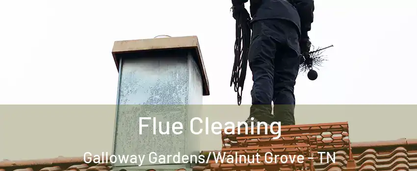 Flue Cleaning Galloway Gardens/Walnut Grove - TN