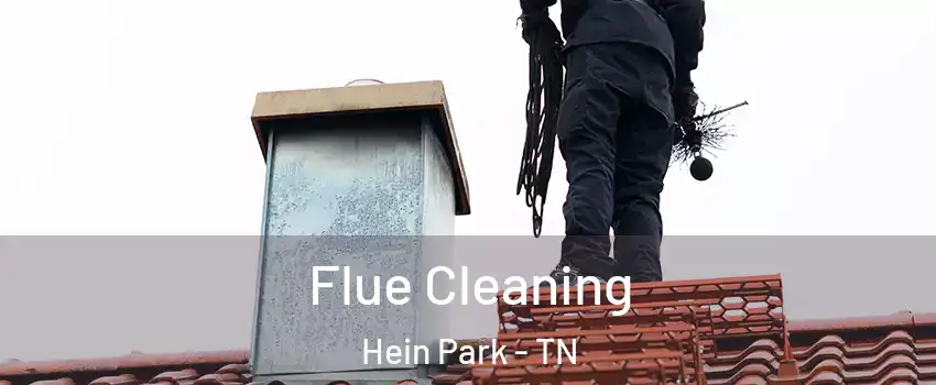 Flue Cleaning Hein Park - TN