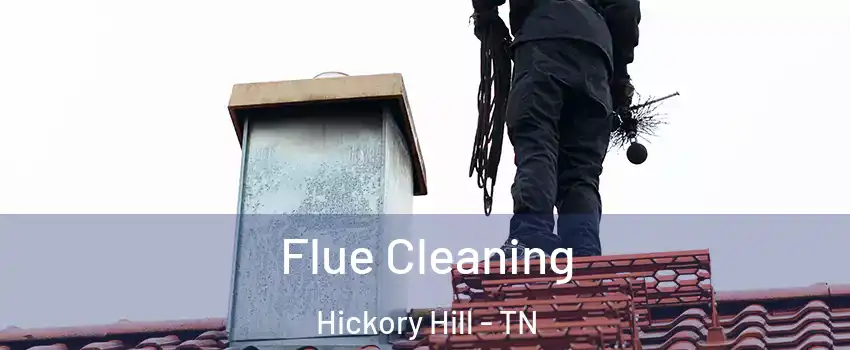 Flue Cleaning Hickory Hill - TN