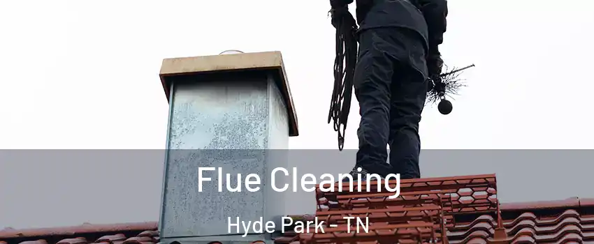 Flue Cleaning Hyde Park - TN