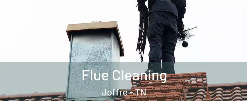 Flue Cleaning Joffre - TN