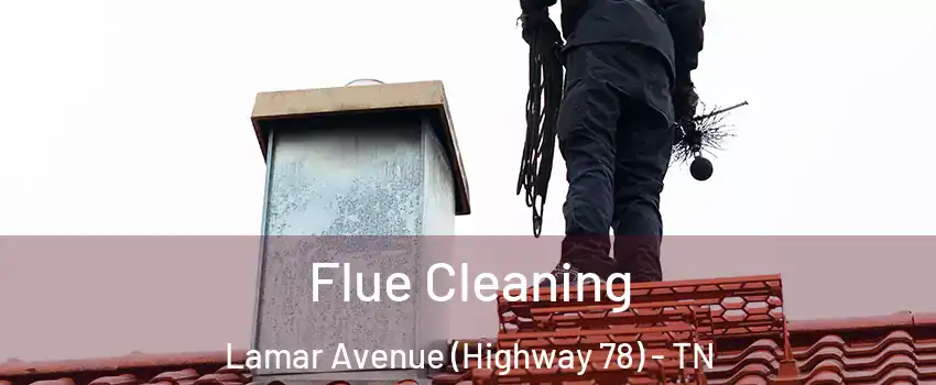 Flue Cleaning Lamar Avenue (Highway 78) - TN