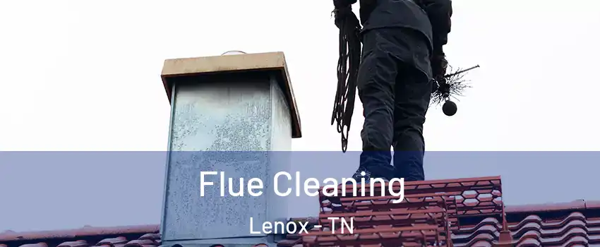 Flue Cleaning Lenox - TN