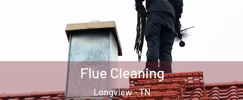 Flue Cleaning Longview - TN