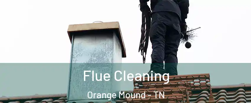 Flue Cleaning Orange Mound - TN