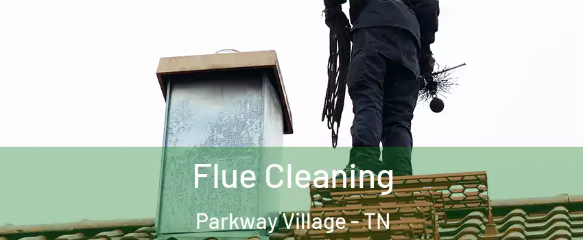 Flue Cleaning Parkway Village - TN