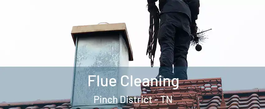 Flue Cleaning Pinch District - TN