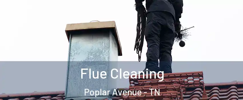 Flue Cleaning Poplar Avenue - TN