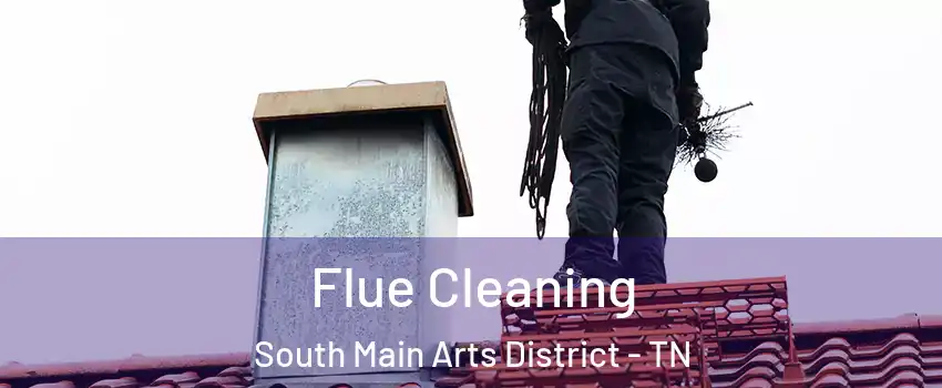 Flue Cleaning South Main Arts District - TN