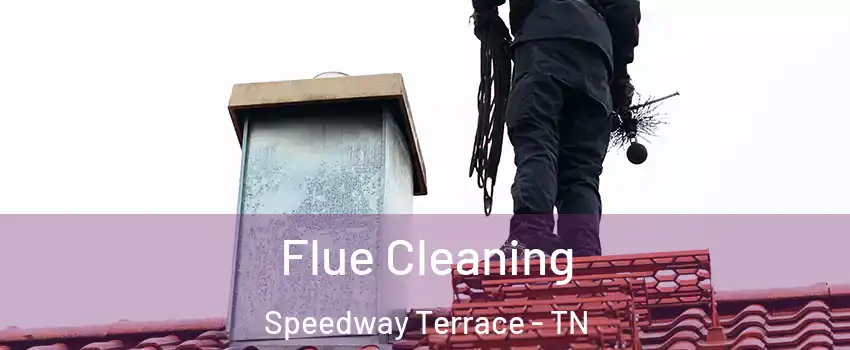 Flue Cleaning Speedway Terrace - TN