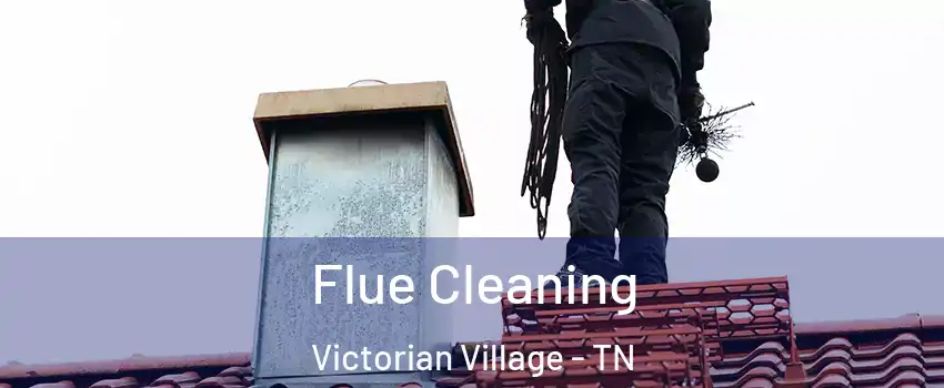 Flue Cleaning Victorian Village - TN