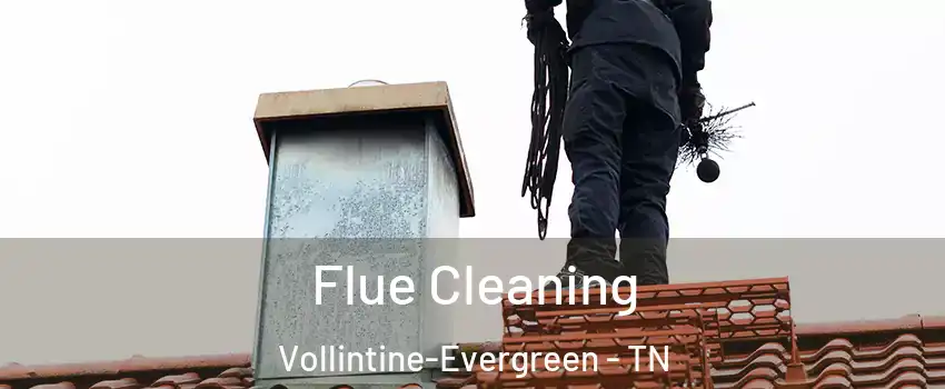 Flue Cleaning Vollintine-Evergreen - TN