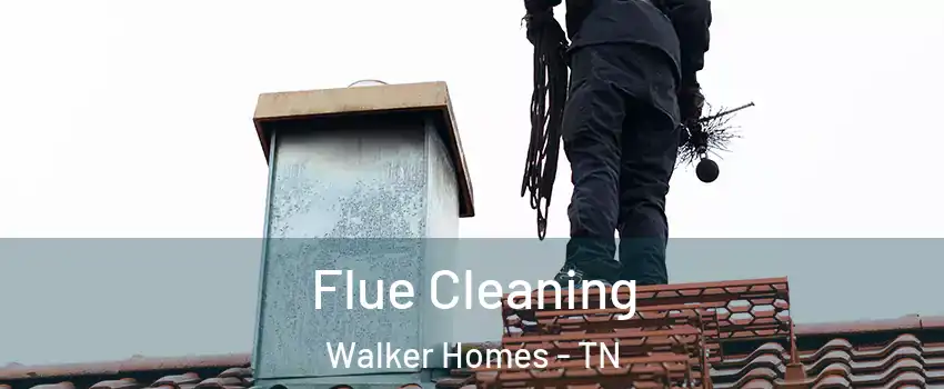 Flue Cleaning Walker Homes - TN