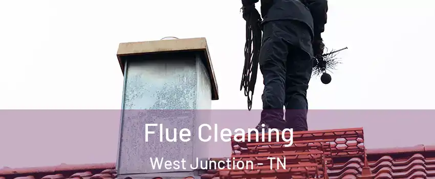 Flue Cleaning West Junction - TN