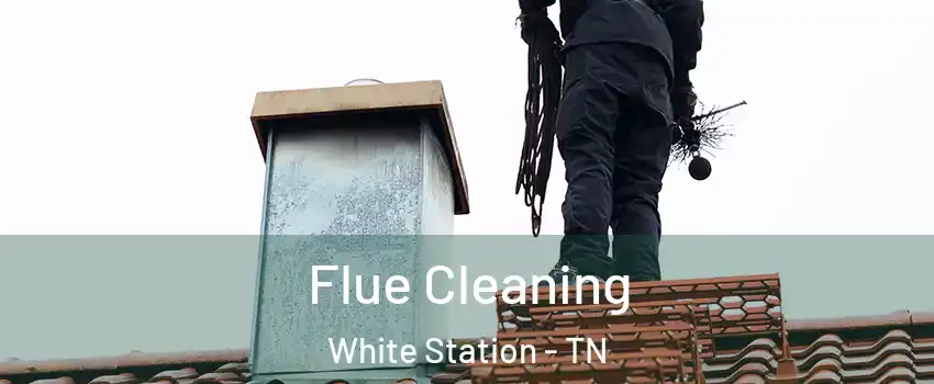 Flue Cleaning White Station - TN