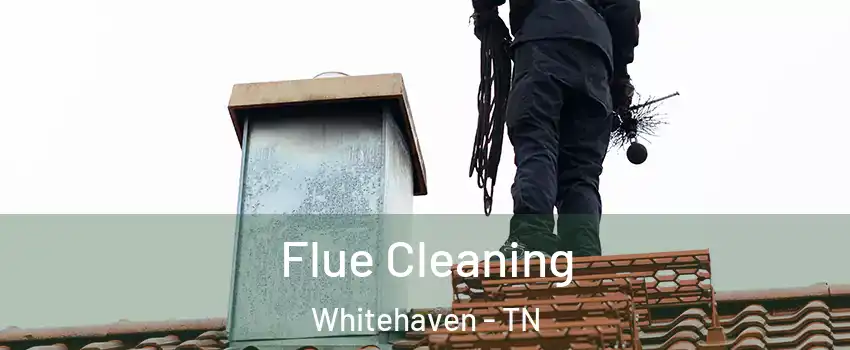 Flue Cleaning Whitehaven - TN