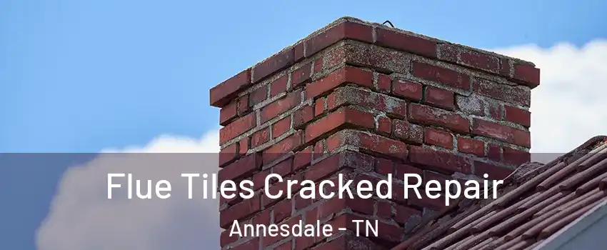 Flue Tiles Cracked Repair Annesdale - TN