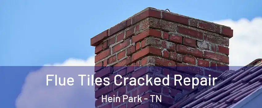 Flue Tiles Cracked Repair Hein Park - TN