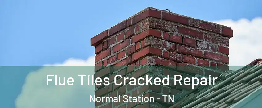 Flue Tiles Cracked Repair Normal Station - TN