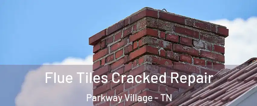 Flue Tiles Cracked Repair Parkway Village - TN