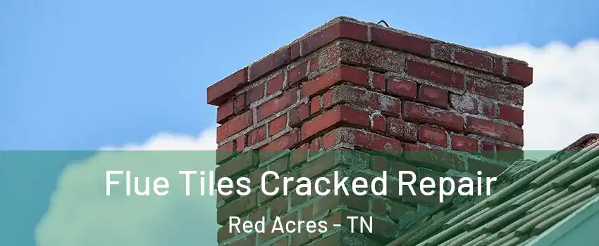 Flue Tiles Cracked Repair Red Acres - TN