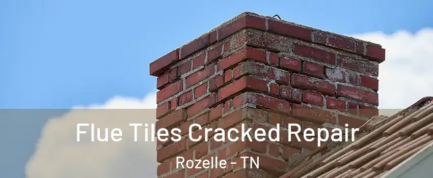 Flue Tiles Cracked Repair Rozelle - TN