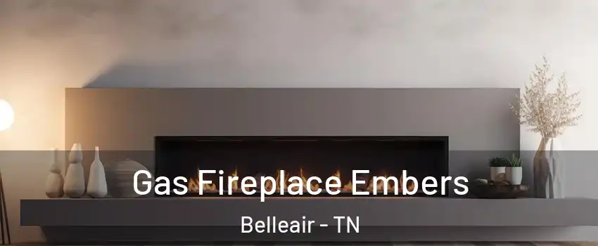 Gas Fireplace Embers Belleair - TN