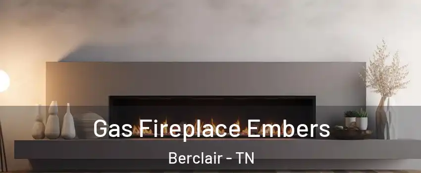 Gas Fireplace Embers Berclair - TN