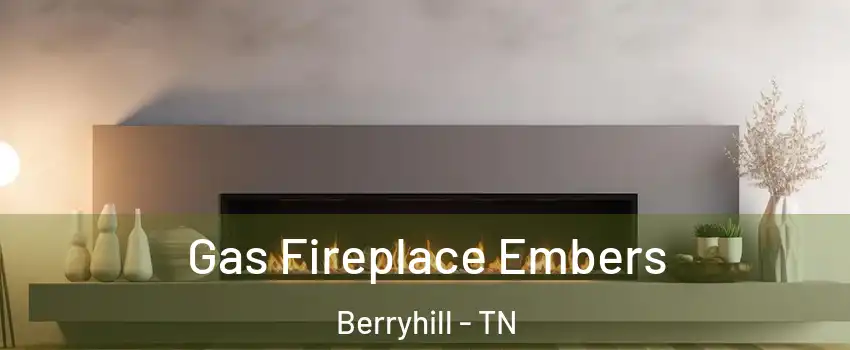 Gas Fireplace Embers Berryhill - TN