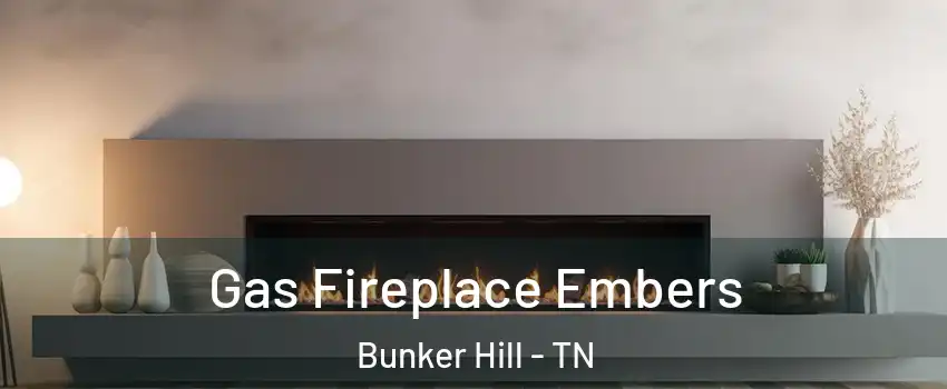 Gas Fireplace Embers Bunker Hill - TN