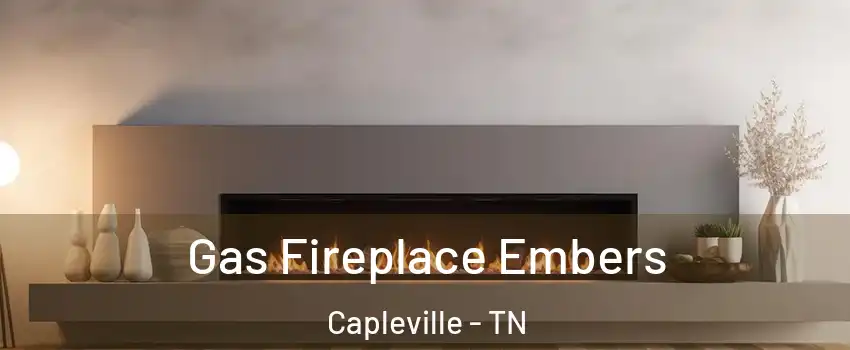 Gas Fireplace Embers Capleville - TN