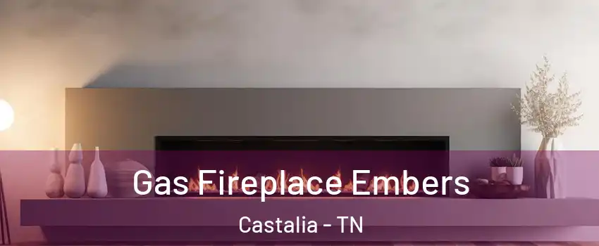 Gas Fireplace Embers Castalia - TN